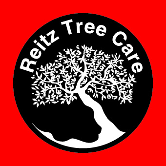 Reitz Tree Care logo copy jpeg